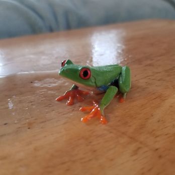 underground reptile store