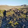 Photo of Anthem East Trail