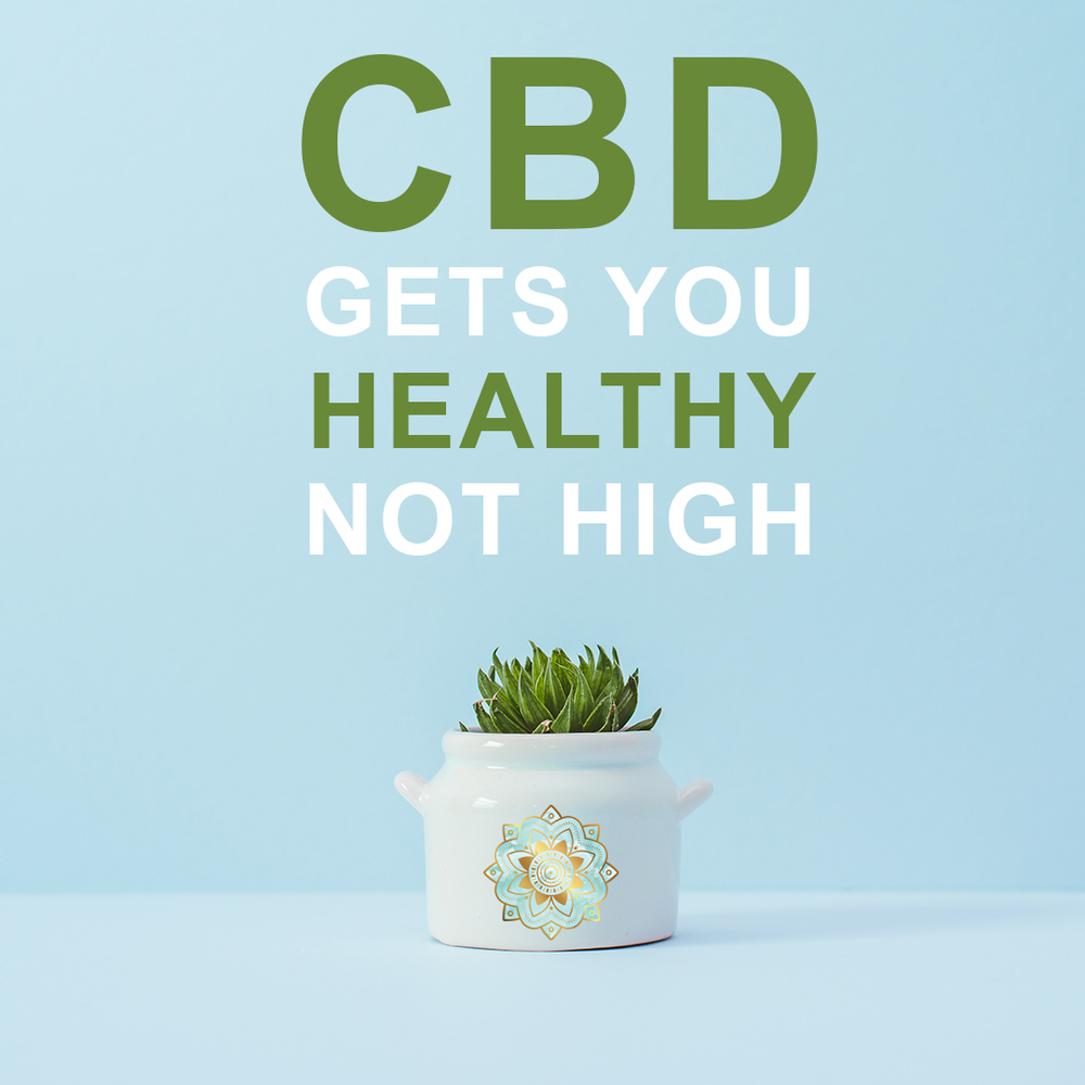 YOUR CBD STORE JACKSONVILLE, FL Updated August 2024 9965 San Jose