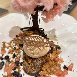 Casa Varela - Stunning Chocolate Bonzai dessert