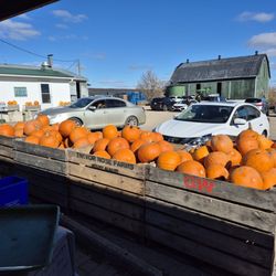 Rose Family Farm