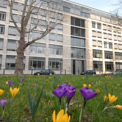 Vr Bank Rhein Neckar Bank Sparkasse Augustaanlage 61