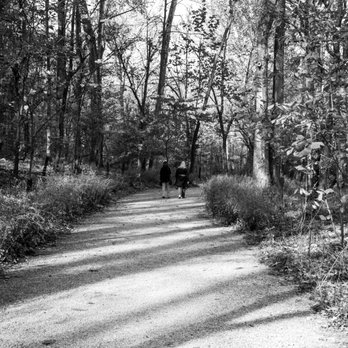 Glenstone - Art Museums Near Me - Potomac, Maryland