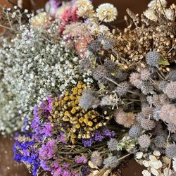Chrysanthemum Rare Teas & Flowers