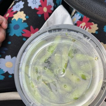 Sun Cuisines - Edamame - Burmese Near Me - Williamsville, New York