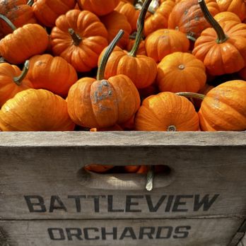 Battleview Orchards - Pick Your Own Farms Near Me - Freehold, New Jersey