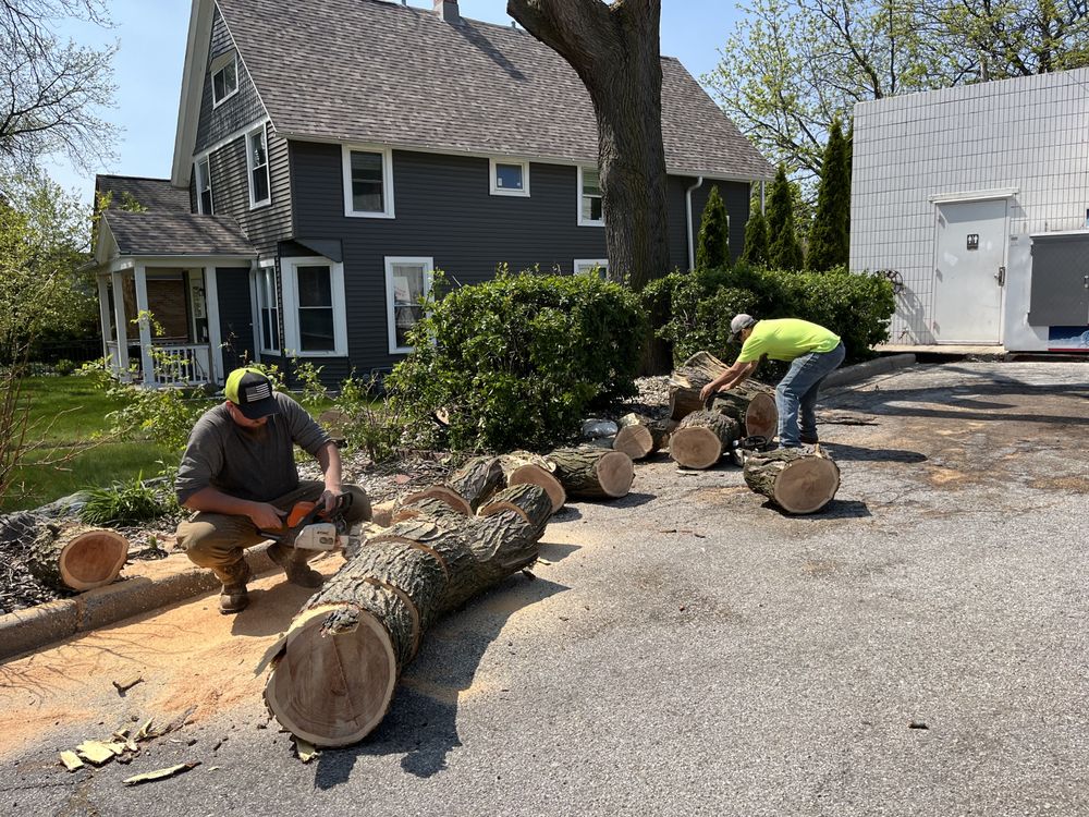 4 season trees - tree service in West Allis, WI