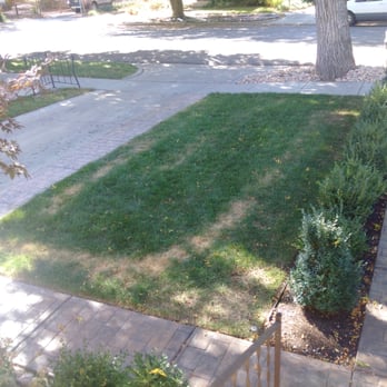 Bytendorp Enterprises Landscaping - Yard burnt by fertilizer. - Landscaping Near Me - South Jordan, Utah