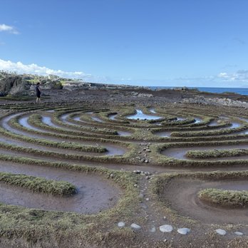 Dragon's Teeth - Local Flavor Near Me - Kapalua, Hawaii