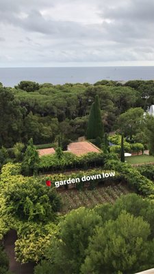 Hotel du Cap-Eden-Roc by null