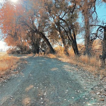 Barr Lake State Park - Trails... - Hiking Near Me - Brighton, Colorado