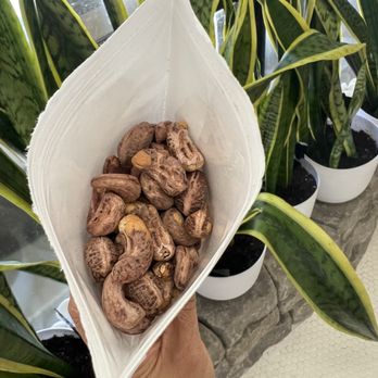 Sojeata Organic - Coffee & Tea Near Me - Santa Ana, California