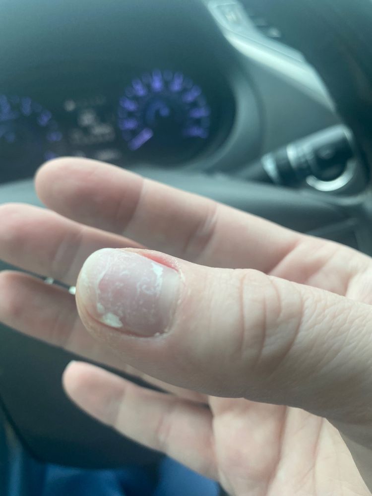 ROSE NAILS Updated September 2024 14 Photos 505 Gretna Blvd