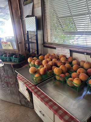Novakovich Orchards by null