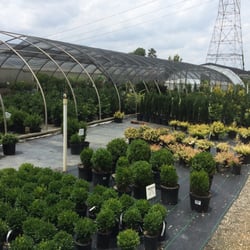 Cline's Nursery