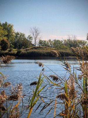 Tifft Nature Preserve by null