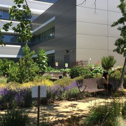 KAISER FOUNDATION HOSPITAL-SANTA ROSA