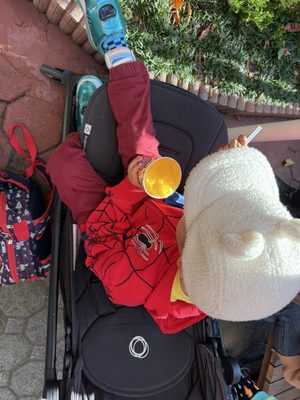 Asakusa Hanayashiki by null