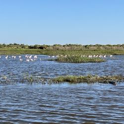 Brazoria National Wildlife Refuge