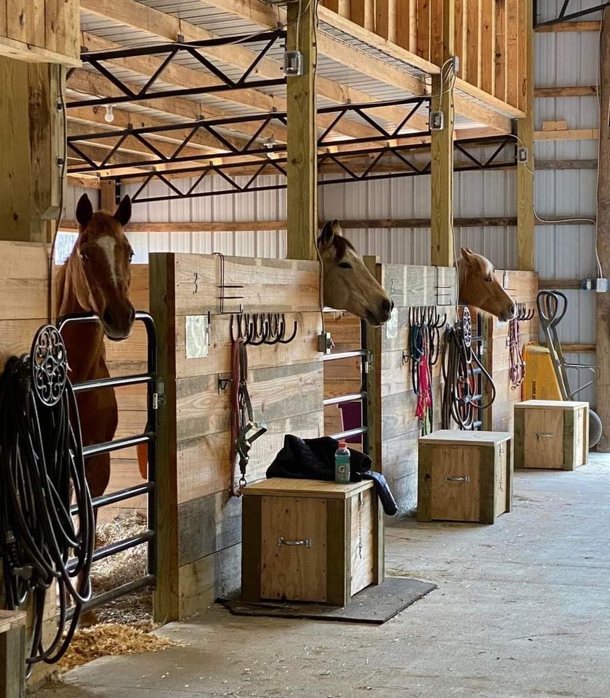 Navarre Equestrian Center Logo