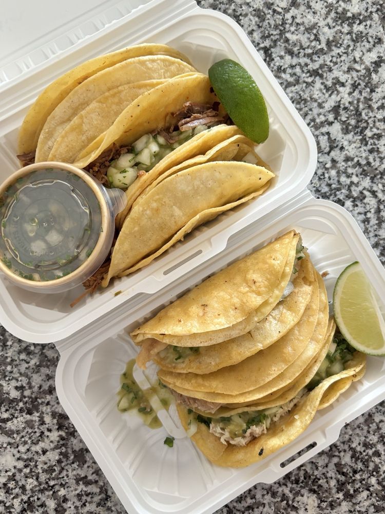 Mexican Taco Zone Logo