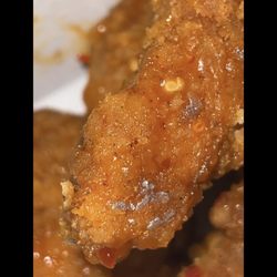 Round Table Pizza - There's some sort of worm on this boneless chicken wing and some sort shiny stuff.