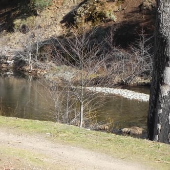 Clear Creek Estates - Property Management Near Me - French Gulch, California Clear Creek Estates - Property Management Near Me - French Gulch, California