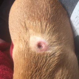 Hole that was left in my little guy after being picked up from Calvin's place. Hole that was left in my little guy after being picked up from Calvin's place.