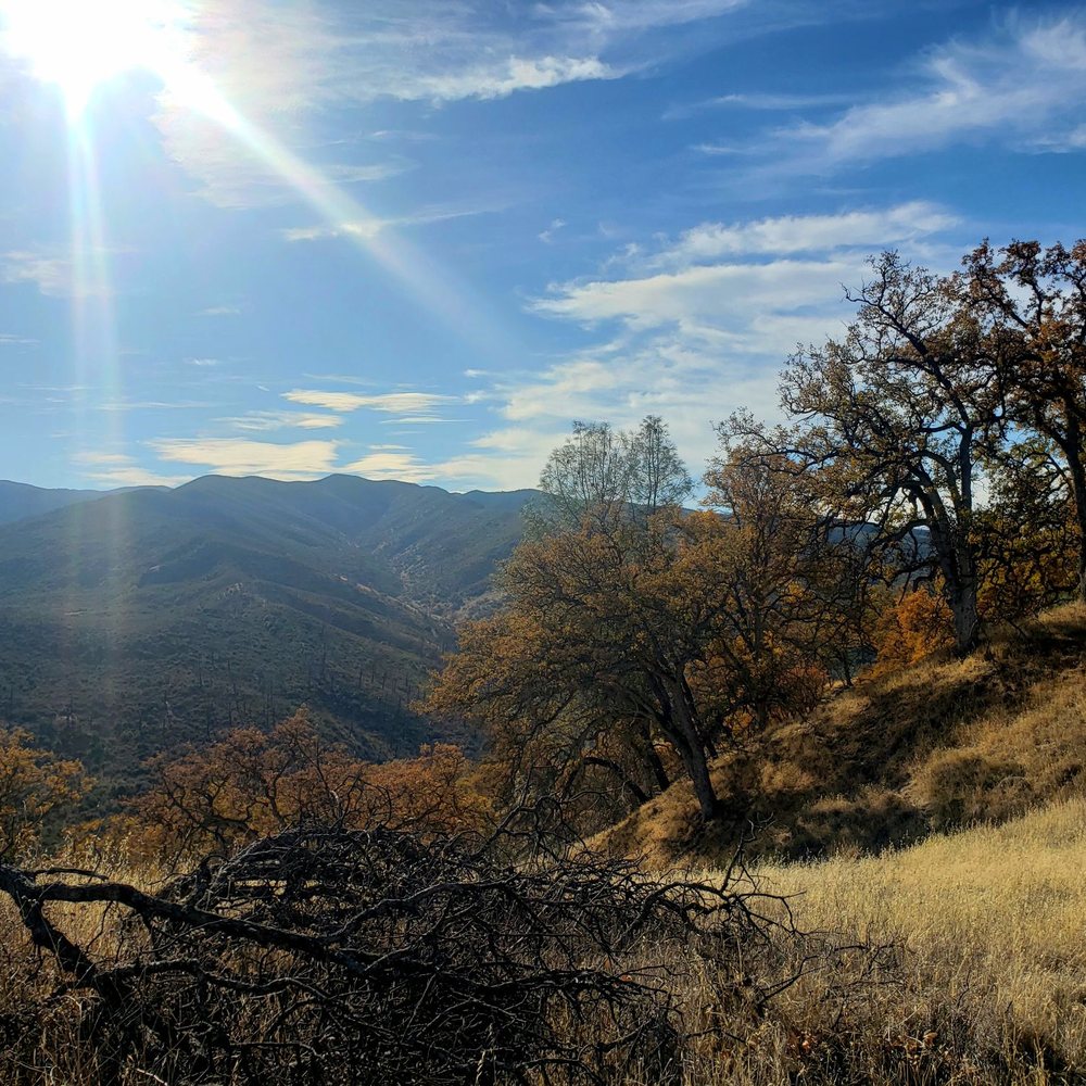 Cache Creek Natural Area - On the Redbud Trail - Hiking Near Me - Rumsey, California