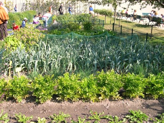 Jardin Catherine-Labouré by null