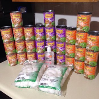 Dollar Tree - I can feel the kitty - Discount Store Near Me - Lake Mary, Florida