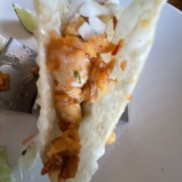 Chicken Wonton Tacos