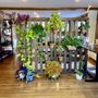 Photo of Elemental Chiropractic