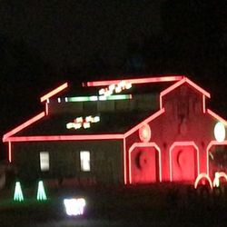 Lights Of Palmetto