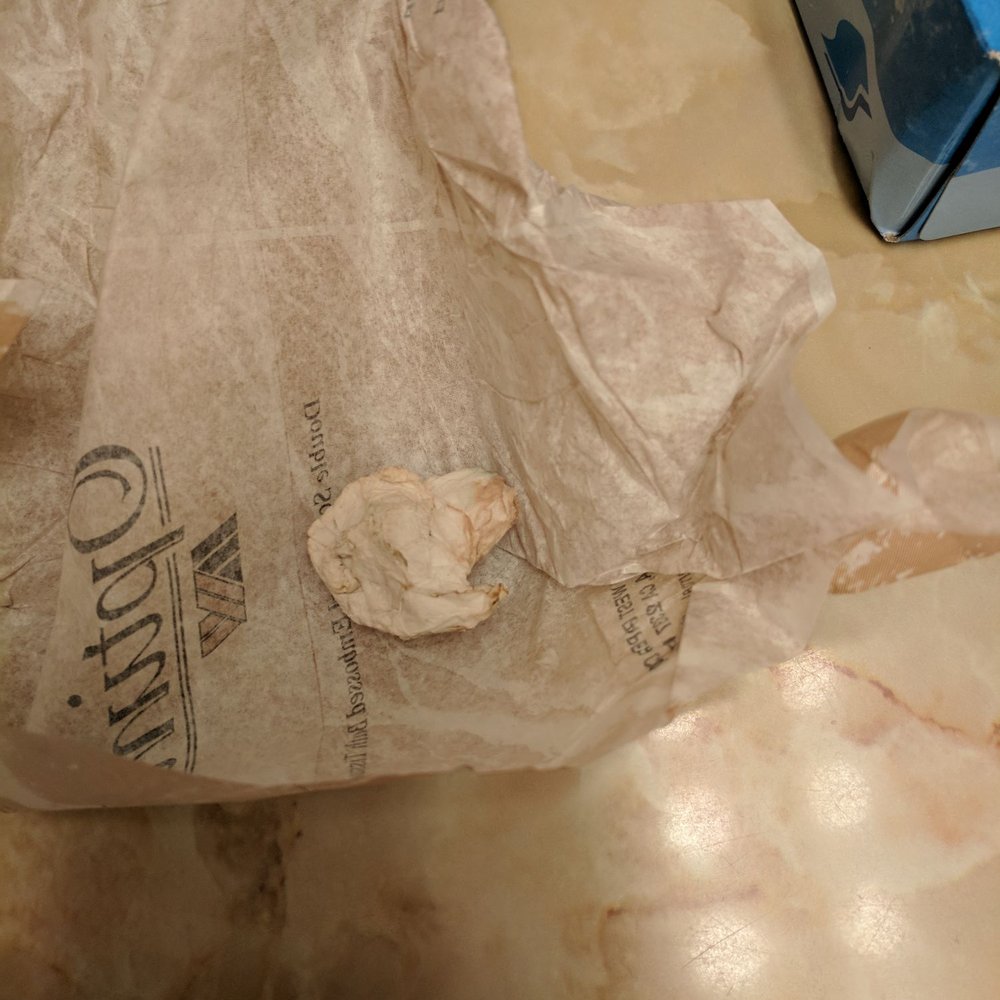 Ireland's Rustic Lodges - Used toilet paper shoved in toilet paper roll - Hotels Near Me - Gold Beach, Oregon