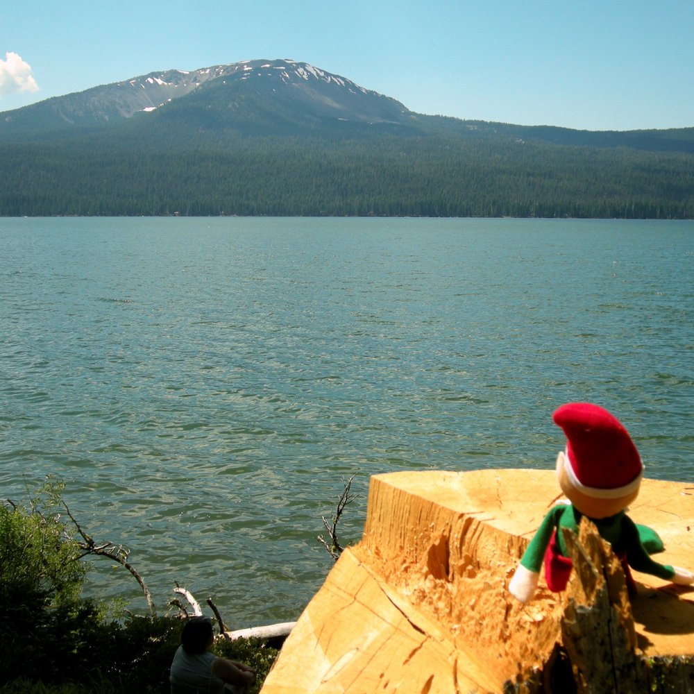 If the elf likes Diamond Lake, anybody will.  The elf has discriminating tastes.  (Yes, that's the Hunny at the bottom.)