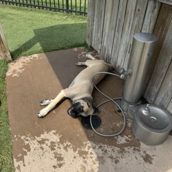 Wiggley Field Dog Park