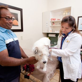Markham Veterinary Clinic - Veterinarians Near Me - Markham, Ontario