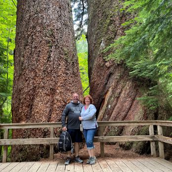 Evergreen Escapes - Really big trees - Tours Near Me - Seattle, Washington Evergreen Escapes - Really big trees - Tours Near Me - Seattle, Washington