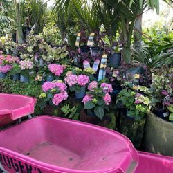 Roger's Garden Centre