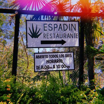 Espadin - Mexican Near Me - Oaxaca, OAX Espadin - Mexican Near Me - Oaxaca, OAX