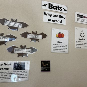 Aullwood Audubon - Info about Bats - Parks Near Me - Dayton, Ohio Aullwood Audubon - Info about Bats - Parks Near Me - Dayton, Ohio