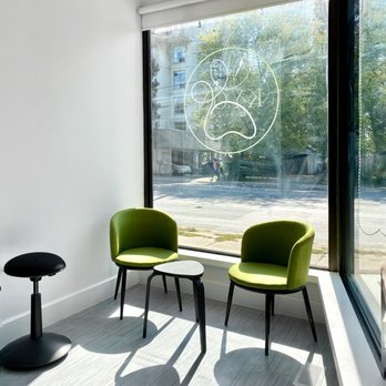 KYON Dog Daycare - KYON Dog Daycare - waiting area - Pet Boarding Near Me - Toronto, Ontario KYON Dog Daycare - KYON Dog Daycare - waiting area - Pet Boarding Near Me - Toronto, Ontario