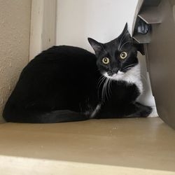 Critter Lodge - Bubble is shy