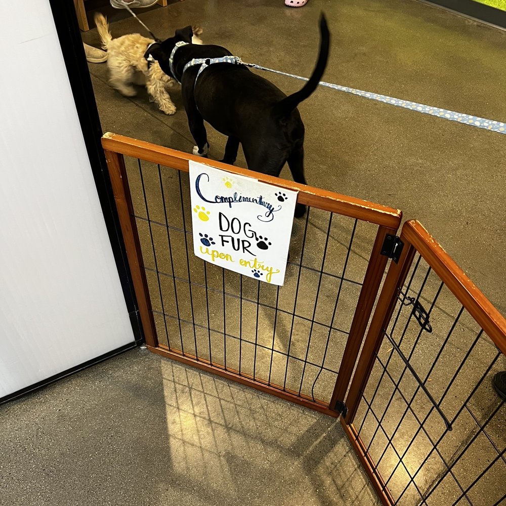 Petco - Pet Stores Near Me - Turlock, California Petco - Pet Stores Near Me - Turlock, California