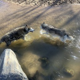 11 & 13.5 yo and still playing! 11 & 13.5 yo and still playing!