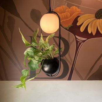 The Bevy Co - Interior: Organic lamp - Cocktail Bars Near Me - Southbury, Connecticut The Bevy Co - Interior: Organic lamp - Cocktail Bars Near Me - Southbury, Connecticut