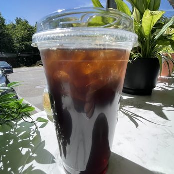 Crossroads - Black Cold Brew among the plants - Coffee & Tea Near Me - North Haven, Connecticut Crossroads - Black Cold Brew among the plants - Coffee & Tea Near Me - North Haven, Connecticut