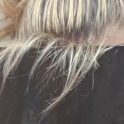 Hair Haus