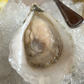 The Barnacle - Pubs Near Me - Bar Harbor, Maine